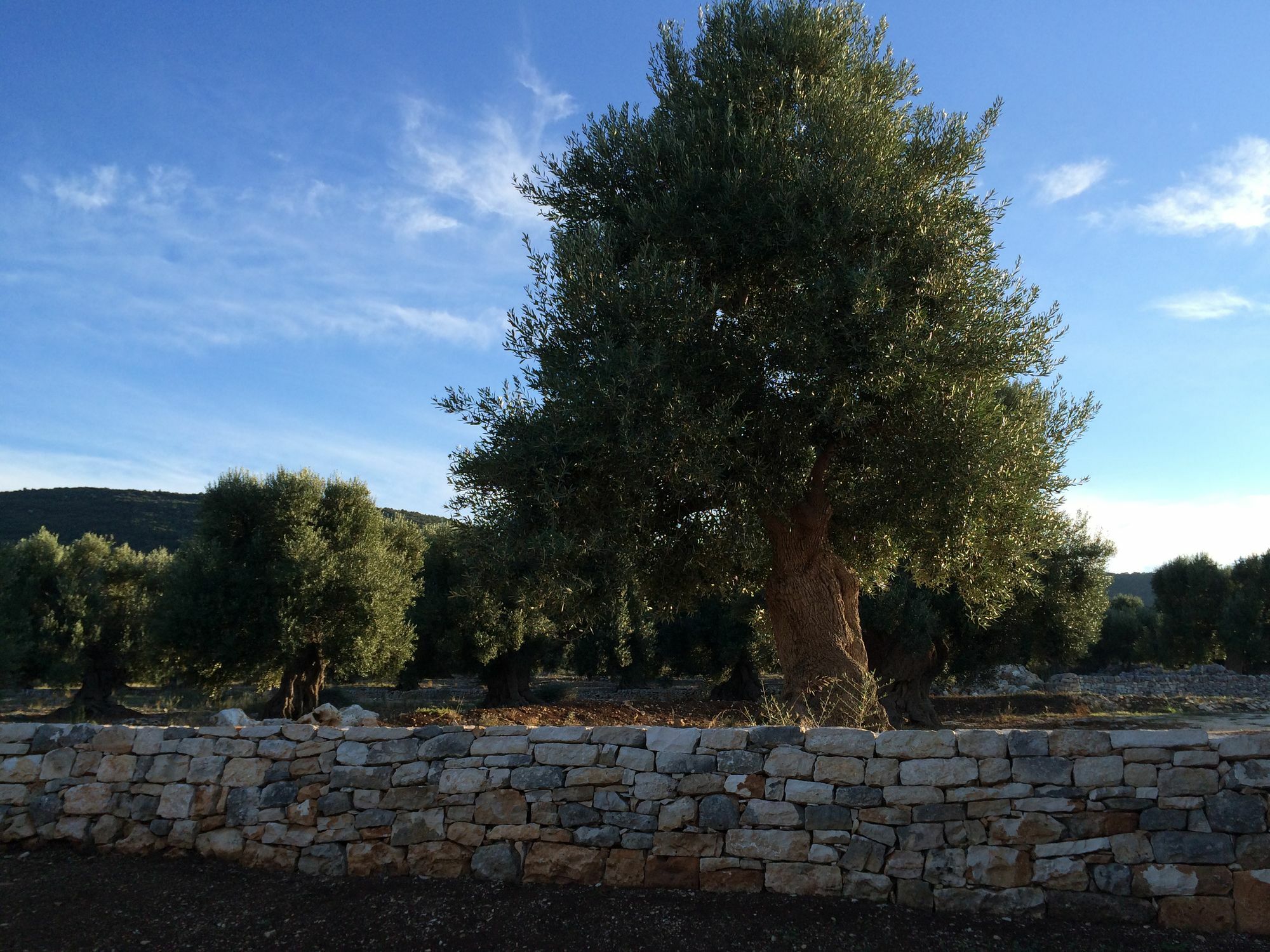 Masseria Capece Pezze Di Greco Exterior foto